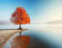 反‍向‍链​接‍是​什﻿么​意﻿思‍